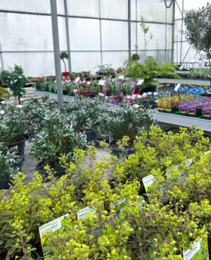 WhatsApp Image 2025-03-21 at 15.25.20 (1)