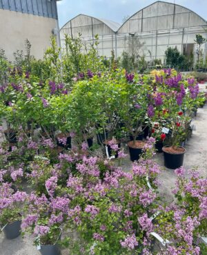 WhatsApp Image 2025-04-25 at 15.47.11