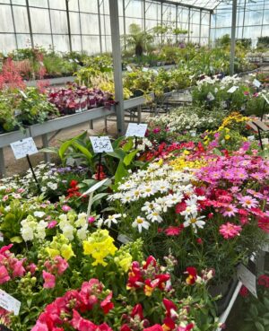 WhatsApp Image 2025-04-29 at 16.02.31