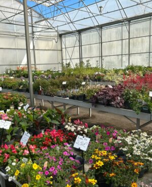 WhatsApp Image 2025-04-29 at 16.18.59 (1)