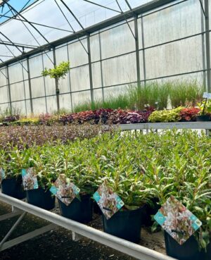 WhatsApp Image 2025-05-14 at 12.39.08 (3)