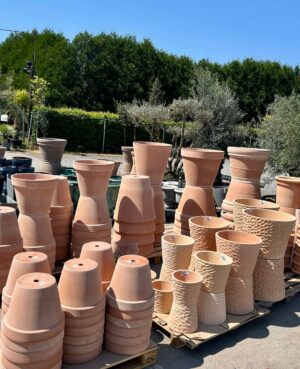 WhatsApp Image 2025-05-14 at 14.55.53