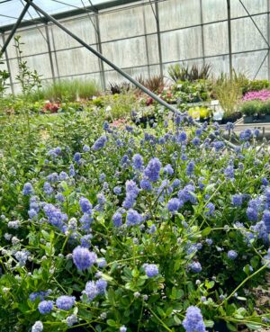 WhatsApp Image 2025-05-15 at 13.30.28