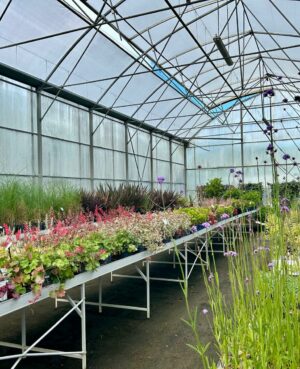 WhatsApp Image 2025-05-30 at 10.26.20 (1)