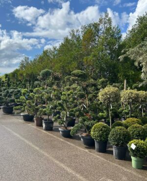 WhatsApp Image 2025-09-04 at 16.30.47 (1)